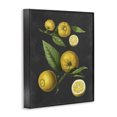 thumbnail image 2 of Stupell Industries French Country Botanical Drawing Lemons On Black Design Black Framed Giclee Art, 16 x 20, by Lettered and Lined, 2 of 6
