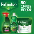 Palmolive Ultra Liquid Dish Soap, Antibacterial 32.5 Fluid Ounce