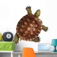 thumbnail image 1 of Wooden Turtle Wall Decal Sticker, Wallmonkeys Peel & Stick Vinyl Graphic (36 in H x 34 in W), 1 of 4
