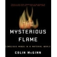 thumbnail image 1 of La Flamme Mystérieuse: Esprits Conscients dans un Monde Matériel, 1 of 1