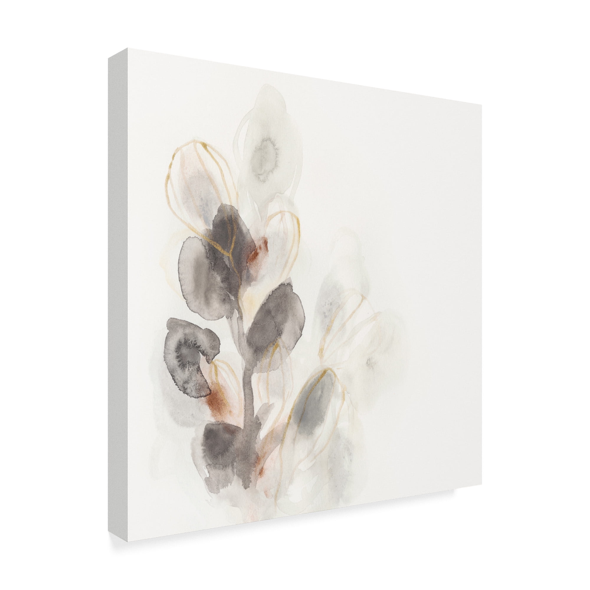 Trademark Fine Art 'Seed Pod I' Canvas Art by June Erica Vess