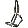 thumbnail image 3 of Billy Royal Belmont Leather Halter for Horses | Premium Grade A Leather | Triple Stitched | Solid Brass Hardware | Fully Adjustable | Rolled Throat Snap | Size Quarter Horse, 3 of 6