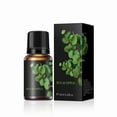 thumbnail image 2 of Aceite de aromaterapia de aceite corporal de 10 ml para perfume DIY para la piel y el cabello, 2 of 9