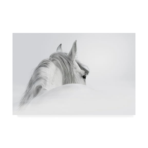 Trademark Fine Art 'White Horse On White' Canvas Art by PhotoINC Studio