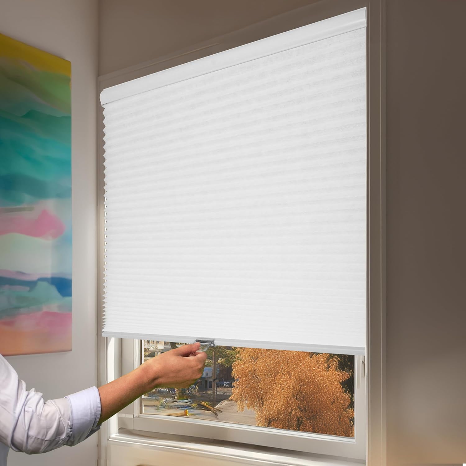 Chicology White Cordless Light Filtering Cellular Shades 62 in. W x 72 in. L