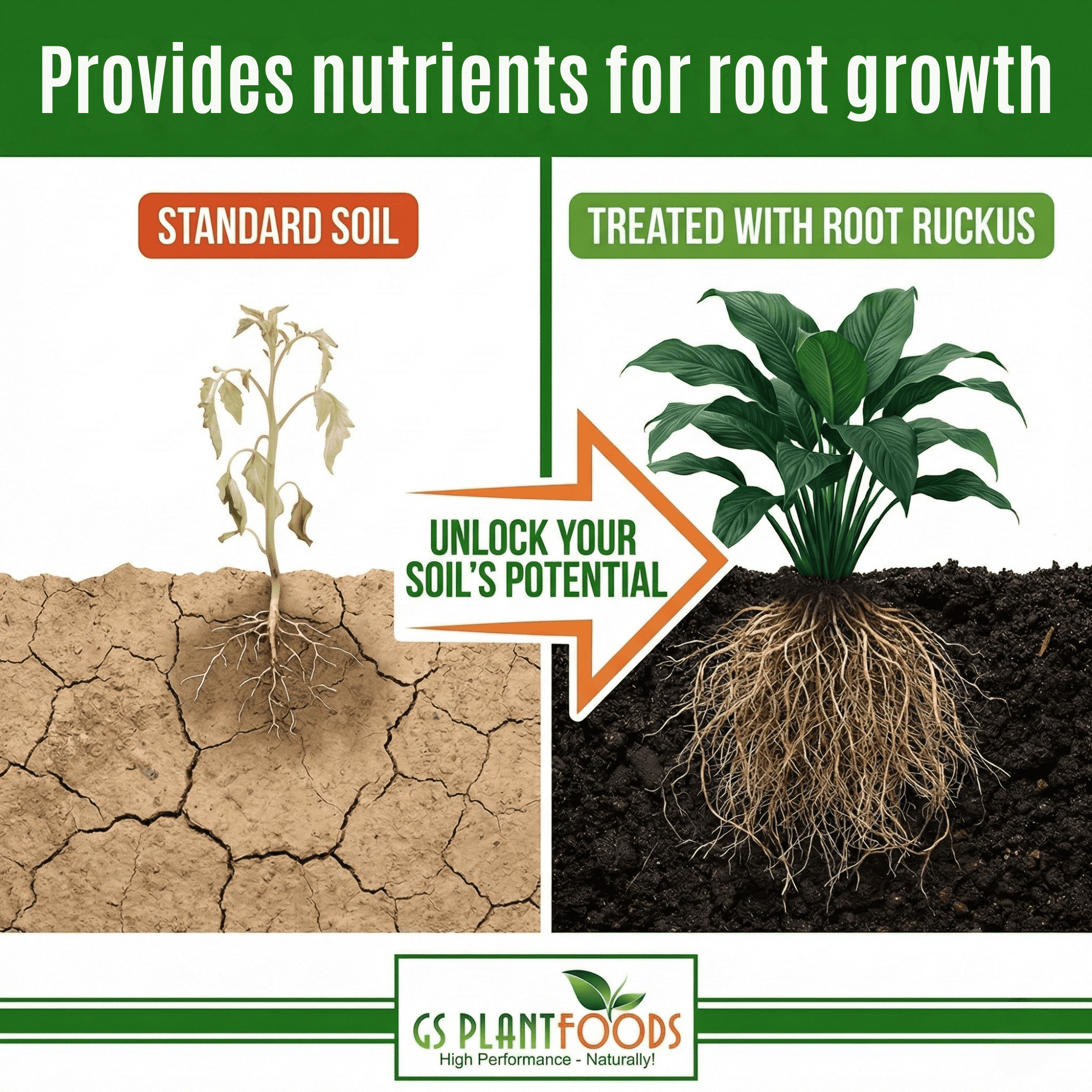 GS Plant Foods Organic Root Ruckus Compost Fertilizer, Turbo Charged for Plants with Humic Acid and Sea Kelp, Improves Soil, Foliar Spray, Water-Soluble, OMRI Certified, Concentrated, 1 Gallon