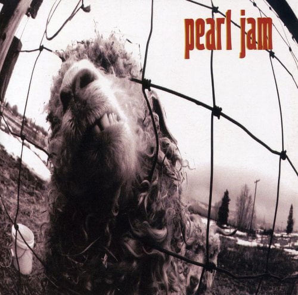 Pearl Jam - Vs. (Original) - Music & Performance - CD - Walmart.com