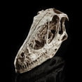 thumbnail image 4 of Resina Calaveras Modelo Hogar Decorativo Estatuilla Coleccionables, 4 of 9