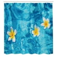 thumbnail image 3 of Ambesonne Tropical Shower Curtain, Frangipani Flower Aqua, 69"Wx75"L, Aqua Yellow White, 3 of 5