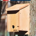 thumbnail image 3 of Woodlink Kiln-Dried Cedar Birdhouse Winter Roosting/Shelter Box, Brown (2 Pack), 3 of 6