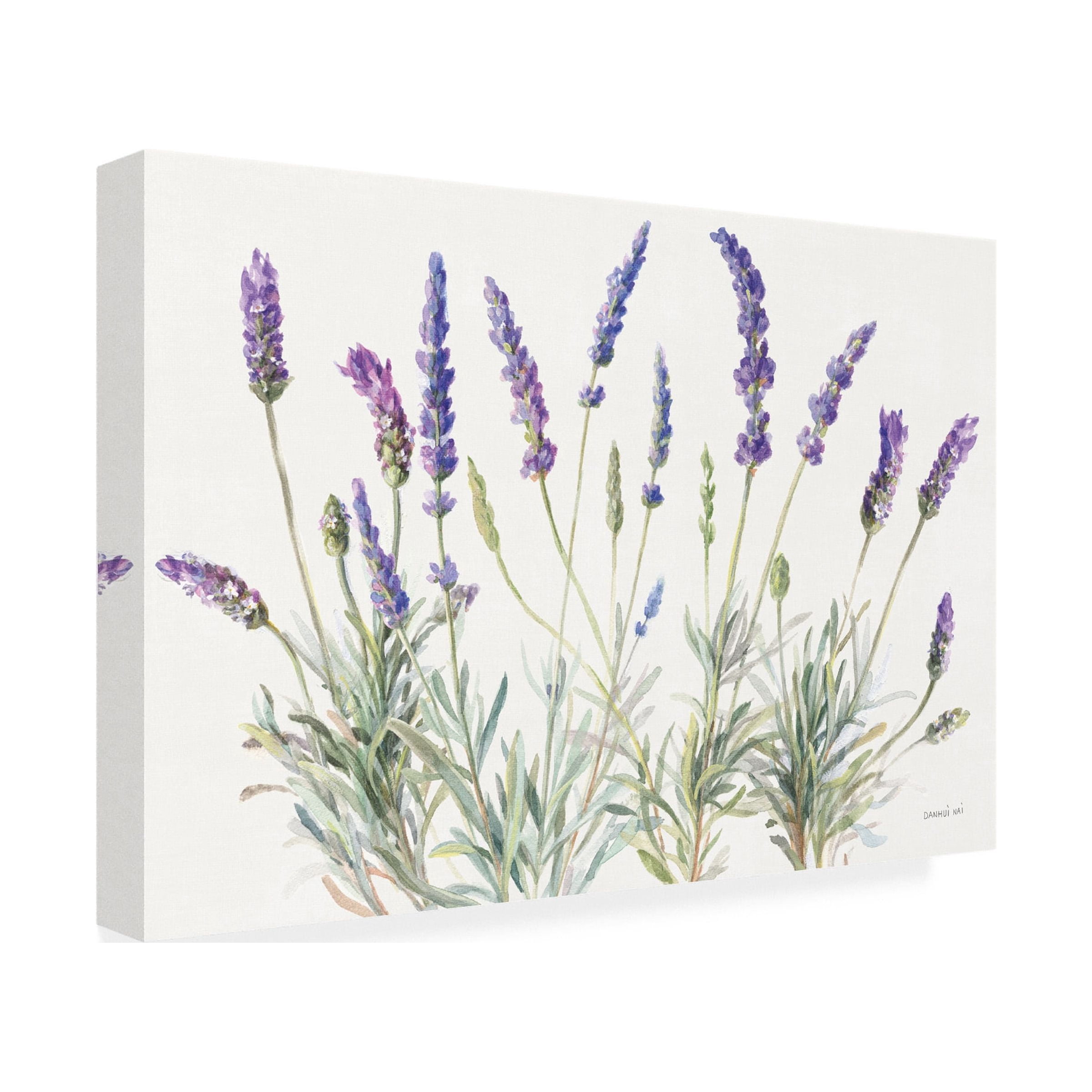 Danhui Nai 'Floursack Lavender V on Linen' Canvas Art