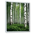 thumbnail image 2 of Designart "White Green Birch Tree I" Landscape & Nature Floater Framed Canvas Wall Art, 2 of 7