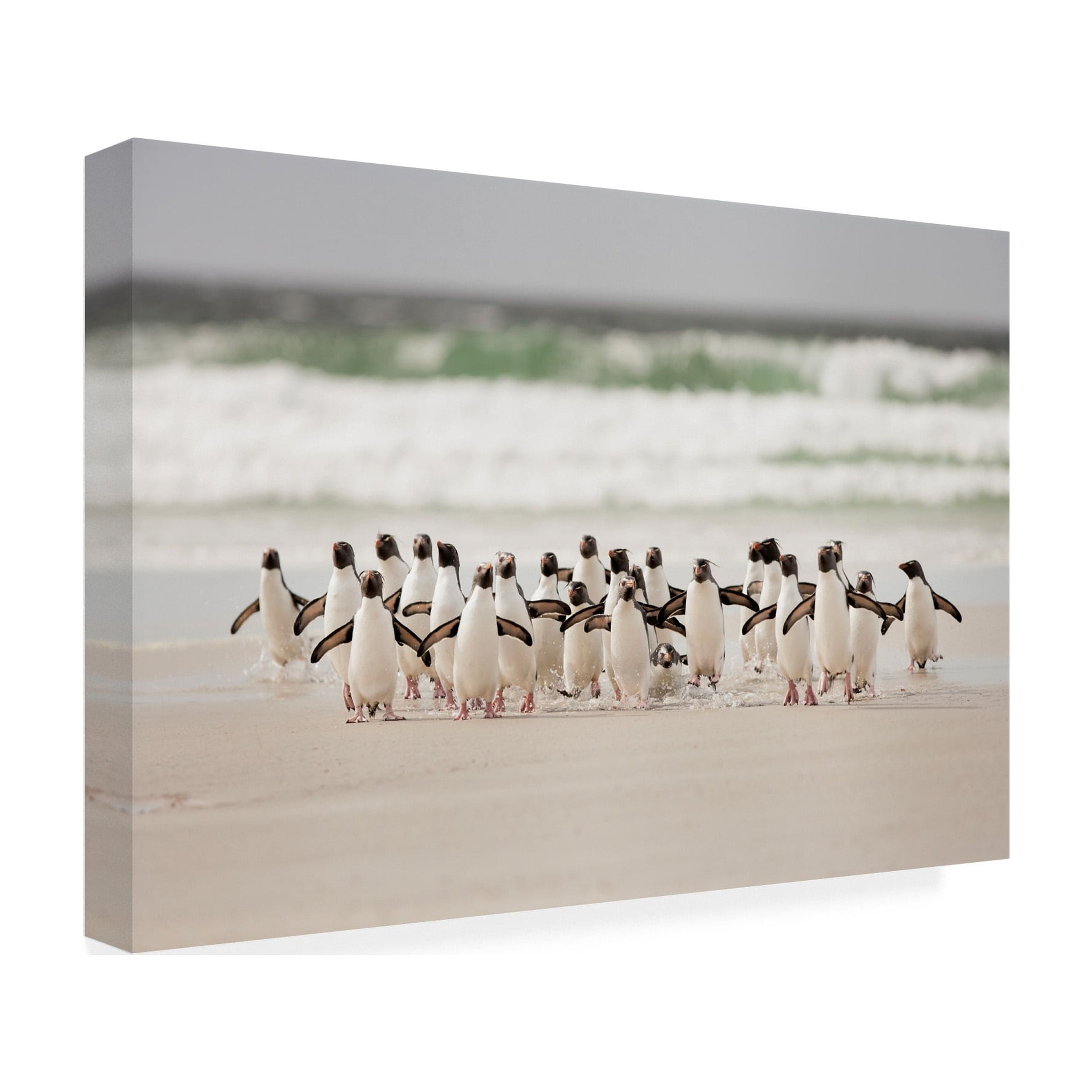 Joan Gil Raga 'Desembarco' Canvas Art