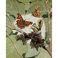 thumbnail image 2 of Paul-Andre Robert 15x18 Black Ornate Wood Framed Double Matted Museum Art Print Titled - The Ranges (1934), 2 of 5