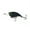 Black Magic, variant on 6th Sense – Curve 55 Mid-Diving Crankbait Bass Fishing Lure, Hunting Action Design