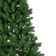 thumbnail image 3 of Northlight 4' Pre-Lit Sierra Noble Fir Artificial Christmas Tree, Clear Lights, 3 of 7