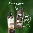 thumbnail image 2 of Herbal Essences Bio:Renew Hydrate Conditioner, Coconut Milk 13.5 oz (Pack of 3), 2 of 6