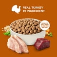 thumbnail image 5 of Rachael Ray Nutrish Healthy Weight Dry Dog Food Real Turkey, Brown Rice & Venison , 4.5lb, 5 of 11