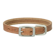 Terrain D.O.G. Harness Leather Dog Collar, 1" x 21"