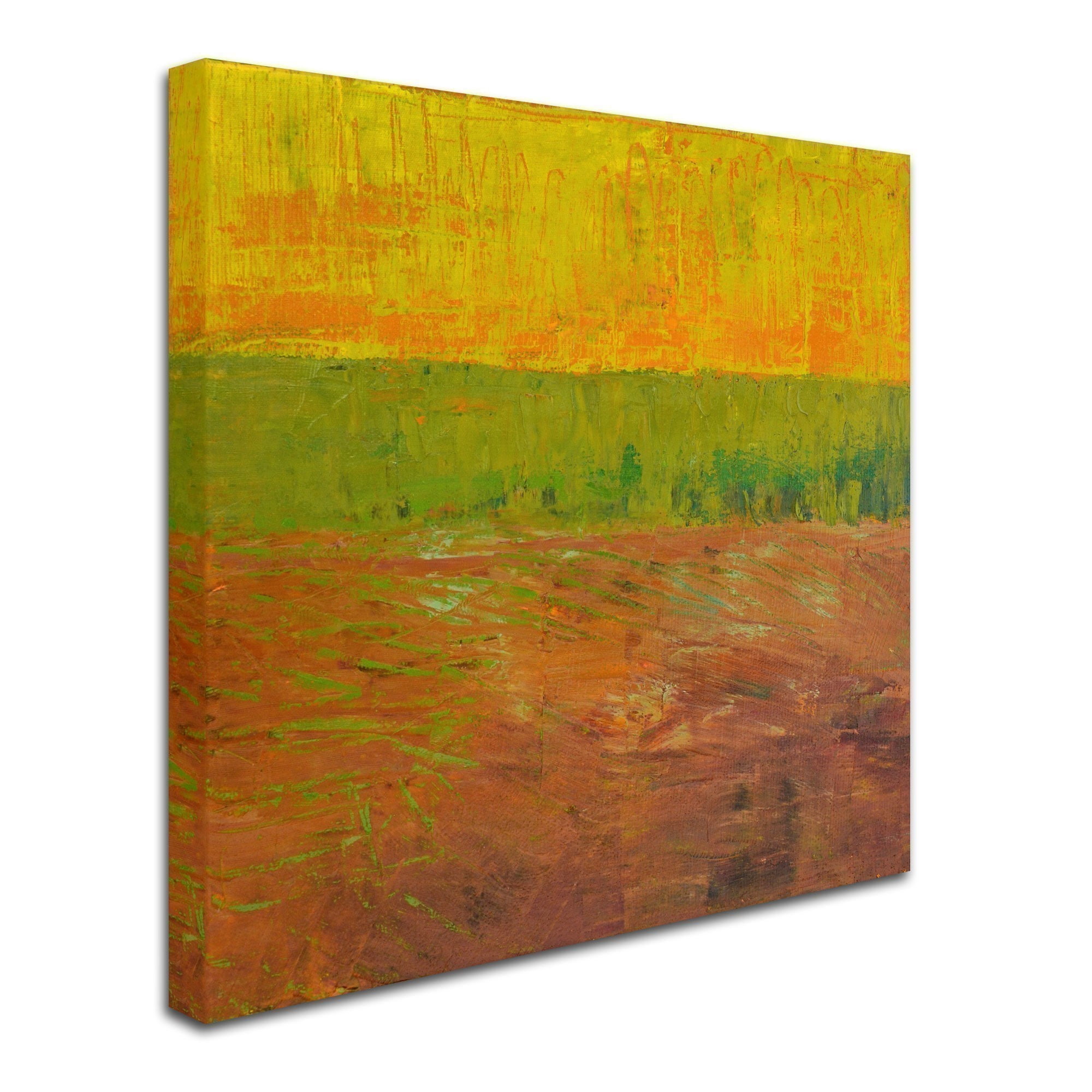 Trademark Fine Art "Highway Series Soil" Canvas Art by Michelle Calkins