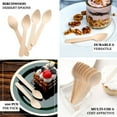thumbnail image 4 of Efavormart 100 Pcs - Environmentally Friendly Disposable 4" Birch Wood Dinnerware Throw Away Green Party Spoons, 4 of 11