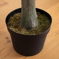 thumbnail image 6 of Nearly Natural Potted Eucalyptus Artificial Tree - 12' - Green, 6 of 8