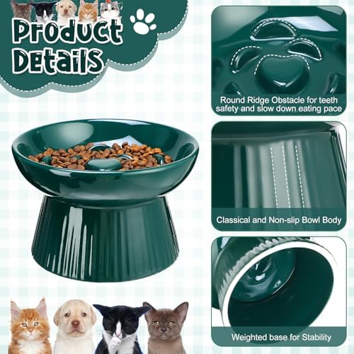 2 Pcs Raised Cat Slow Feeder Bowl Ceramic Elevated Cat Dog Food Bowl No Spill High Edge for Dry Wet Food and Water Easy to Clean, Dishwasher Safe (Dark Green,Blue)