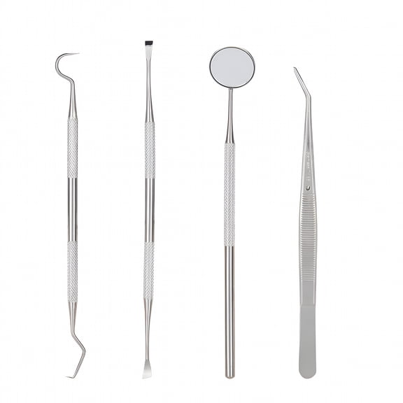 LAMIRO 4Pcs Dentist Cleaning Examination Hygiene Set Dental Tarter Scraper Probe Teeth Care Kit