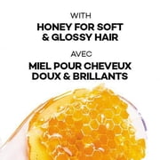 LOreal Healthy Look Creme Gloss Hair Color, 3G Darkest Golden Brown