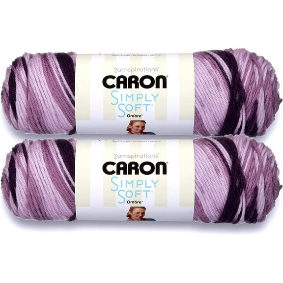 (Pack of 2) Caron Simply Soft Ombres Yarn-Grape Purple