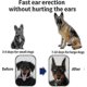 thumbnail image 3 of Dog Ear Stand Fixed Support Correction Erect Holder Patch For Doberman Pinscher Sheltie Corgi, 3 of 5