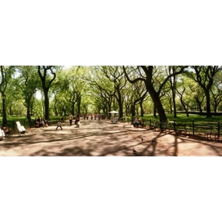 Central Park in the spring time New York City New York State USA Canvas Art - Panoramic Images (15 x
