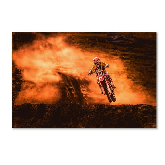 Salkov Igor 'Above' Canvas Art