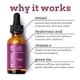 thumbnail image 4 of Sérum Eve Hansen con retinol antienvejecimiento al 2% con vitamina A, E, 30 ml, 4 of 7