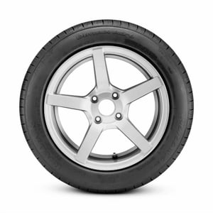 Radar Dimax AS-6 205/65R15 94H BSW (2 Tires) Fits: 2006-07 Honda Accord LX, 2005 Honda Accord EX Sansujyuku sansujyuku.com