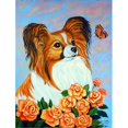 thumbnail image 1 of 11 x 15 in. Papillon Garden Size Flag, 1 of 1