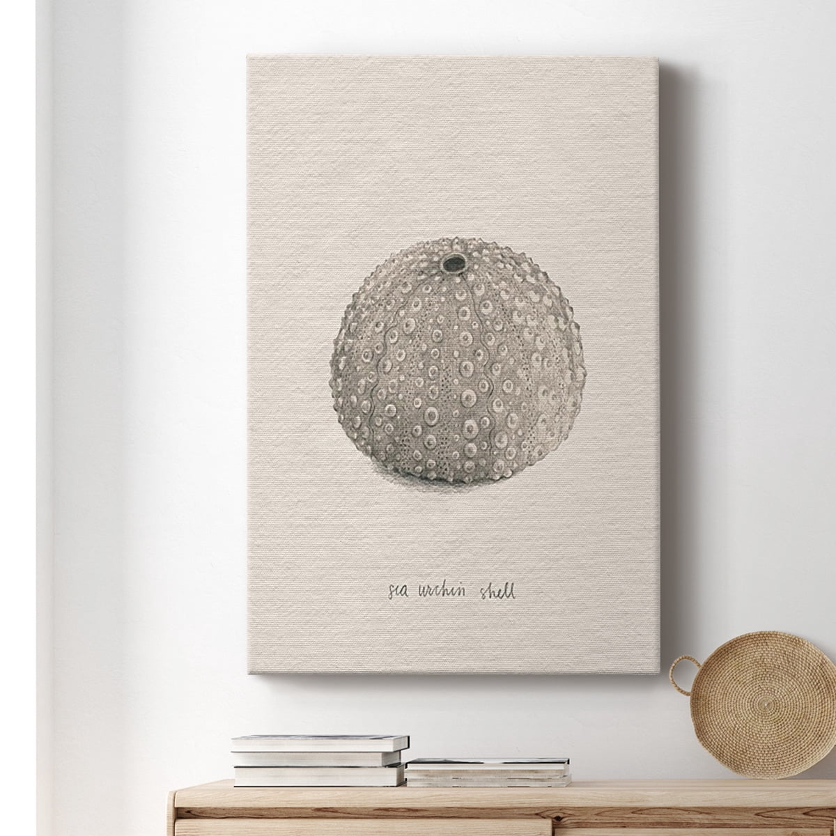 Shore Treasure Study I Premium Gallery Wrapped Canvas - Ready to Hang