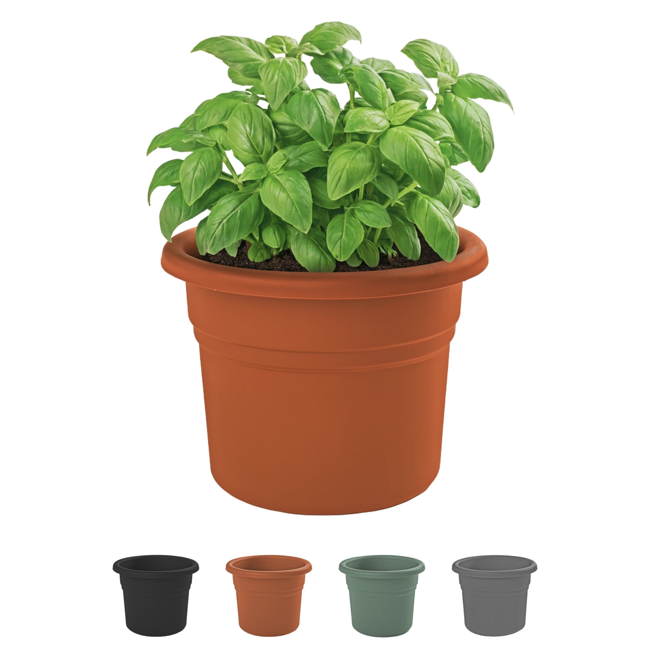 Bloem Posy 8" Round Plastic Planter, UV-Resistant Indoor/Outdoor Pot, Terra Cotta
