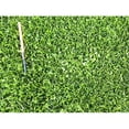 thumbnail image 3 of X-Seed 440AS0135UCT144 5 Lb MicroLawn Grass Seed and Microclover Mixture, 3 of 7