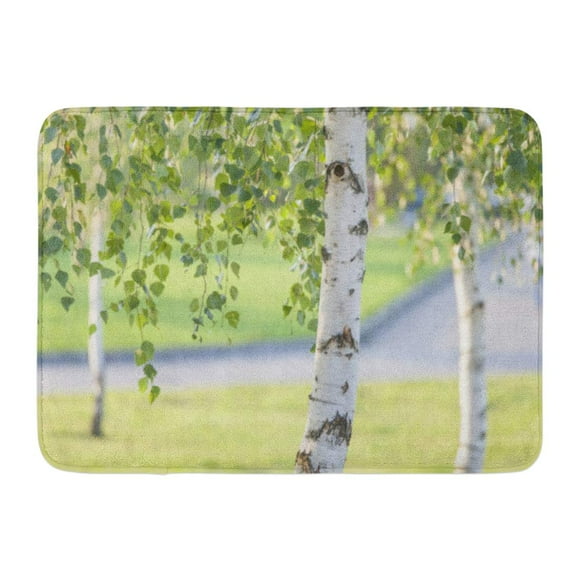 YUSDECOR Aspen Green Organic Birch Trees in Summer White Agriculture Bark Rug Doormat Bath Mat 23.6x15.7 inch