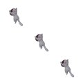 thumbnail image 2 of Destyer Support de Cellulaire Chat Mignon 1/2/3/5 Tablettes Bureau Voiture Support Universel Gris 3 Pcs, 2 of 6