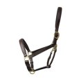 thumbnail image 1 of Coldstream Leather Padded Head Collar, 1 of 1