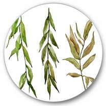 Designart 'Three Willow Branches On White' Farmhouse Circle Metal Wall Art 36x36 - Disc of 36