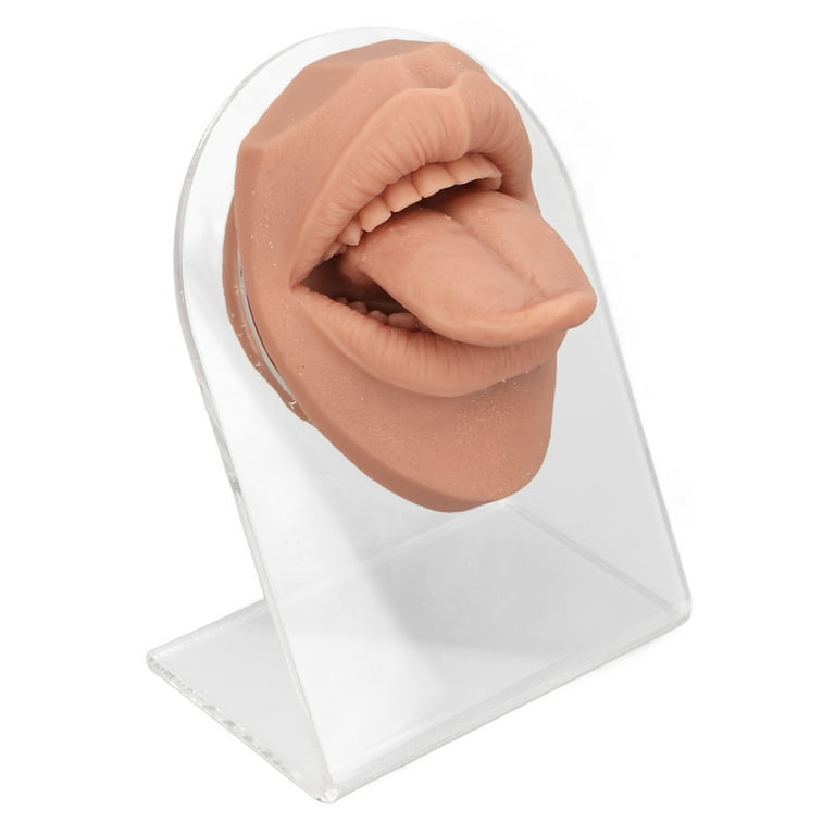 Silicone Tongue & Mouth Piercing Practice Model Custom with Logo on Stand