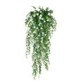 thumbnail image 2 of Flowers*2 Bunches Clearance! 80Cm Artificial In Green Plastic Planter (2 Count), 2 of 3