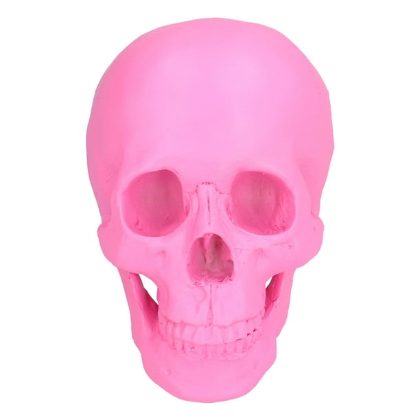 Faux Crâne en Plastique - Décoration Halloween