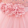 thumbnail image 5 of AINIYS Girls' Princess Wedding Dress Blue Tulle Lace Applique Flower Birthday Party Pageant Gown Pink 110, 5 of 9