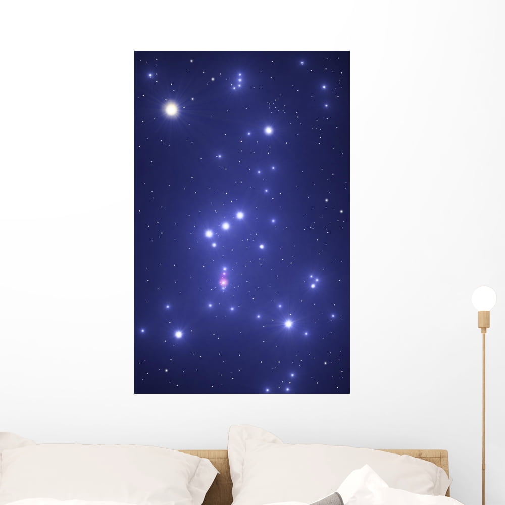 Constellation Orion Wall Mural by Wallmonkeys Peel and Stick Graphic