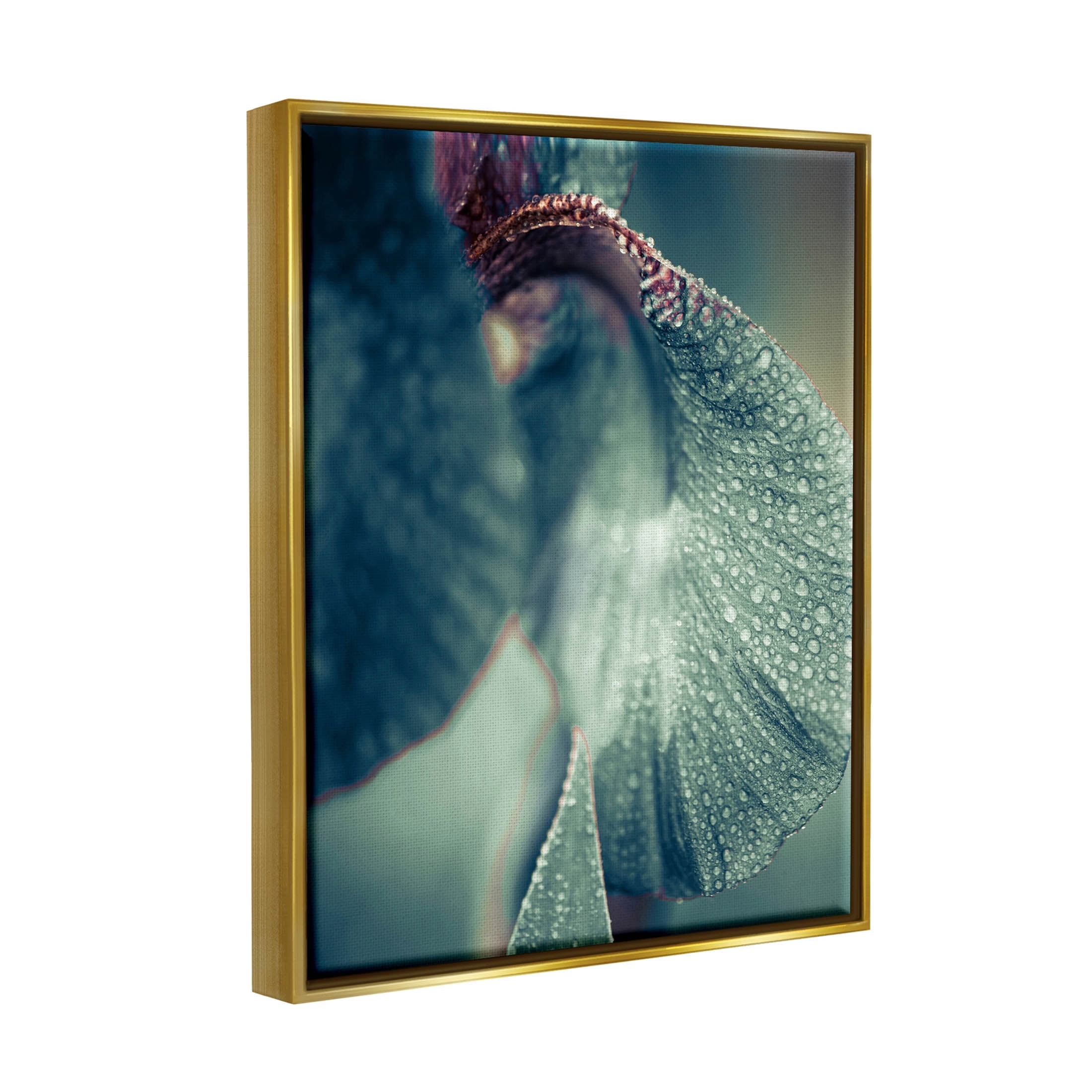 Close Up Water Drip Petals Botanical & Floral Photograph Metallic Gold Framed Art Print Wall Art