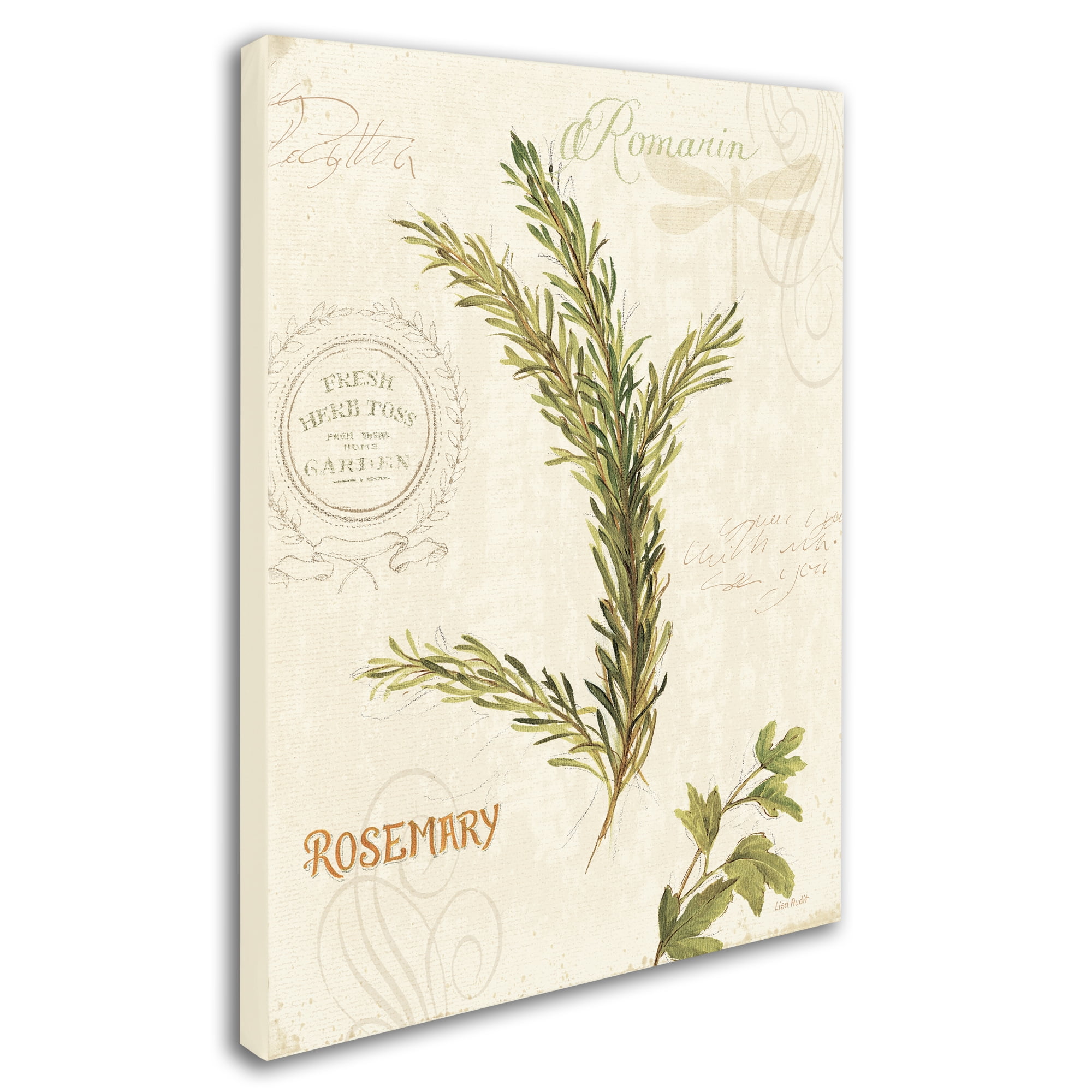 Trademark Fine Art "Aromantique II" Canvas Art by Lisa Audit